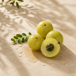 Amla use in haircare