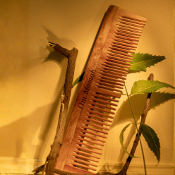 neem-comb